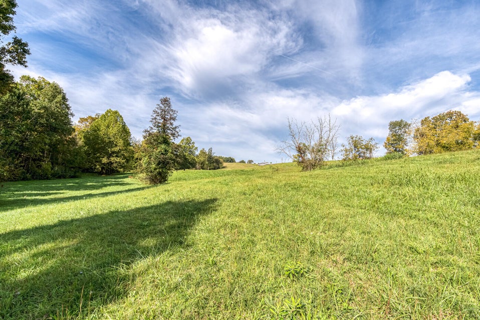 Photo #7: 456 Beech Grove Road