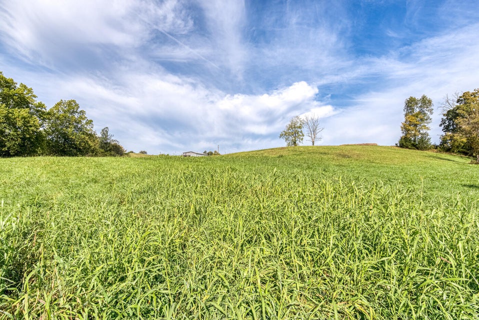 Photo #15: 456 Beech Grove Road