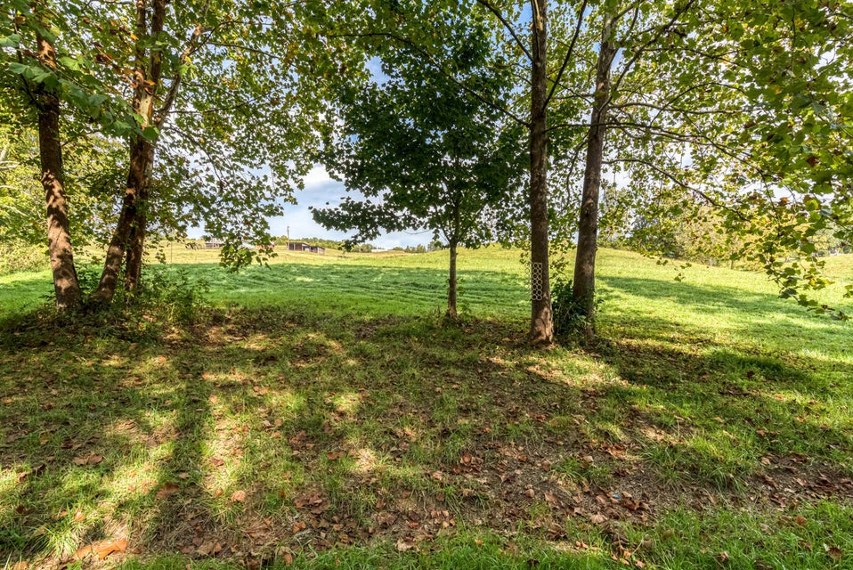 Photo #17: 456 Beech Grove Road