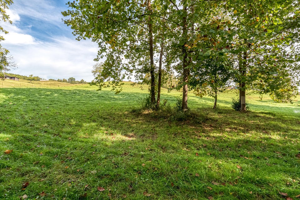 Photo #19: 456 Beech Grove Road