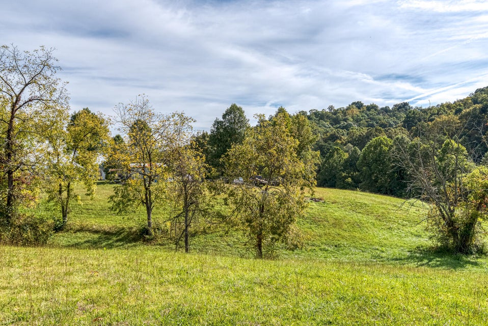 Photo #22: 456 Beech Grove Road