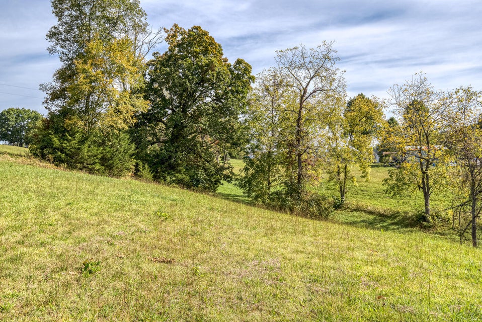 Photo #23: 456 Beech Grove Road