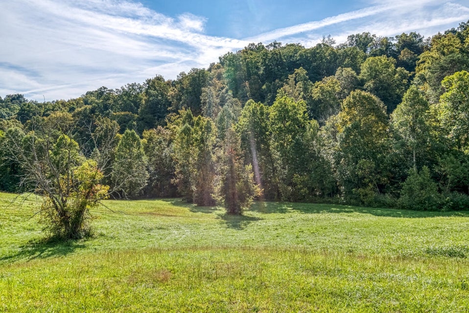 Photo #27: 456 Beech Grove Road