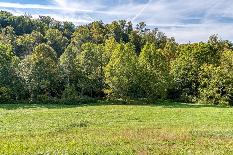 Photo #28: 456 Beech Grove Road