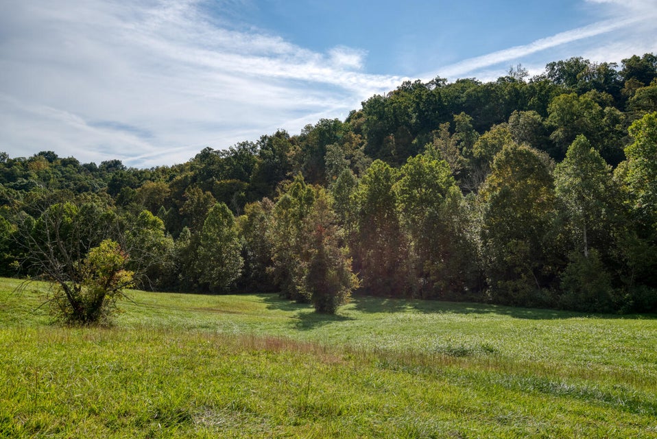 Photo #29: 456 Beech Grove Road