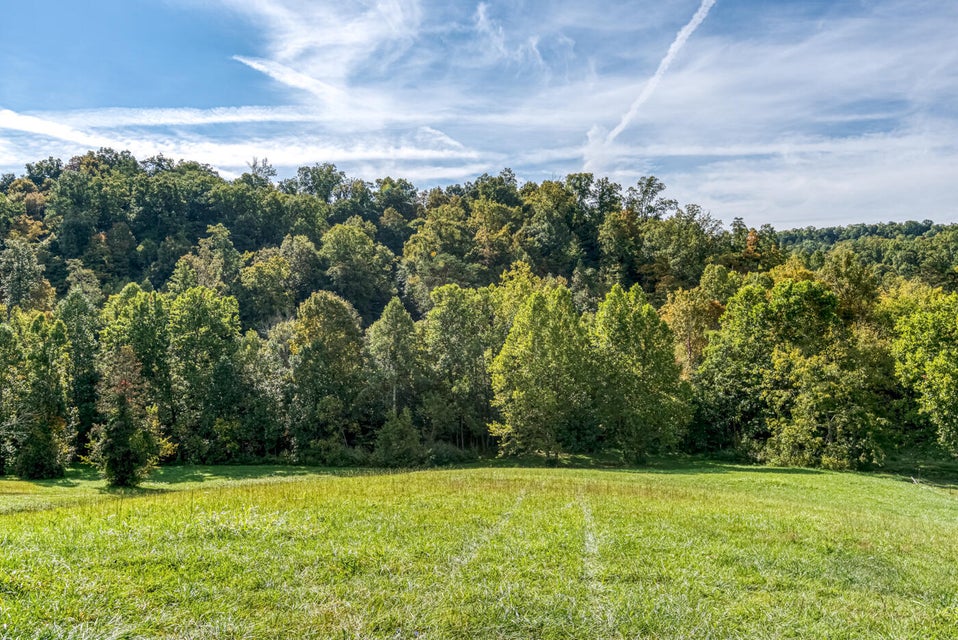 Photo #30: 456 Beech Grove Road