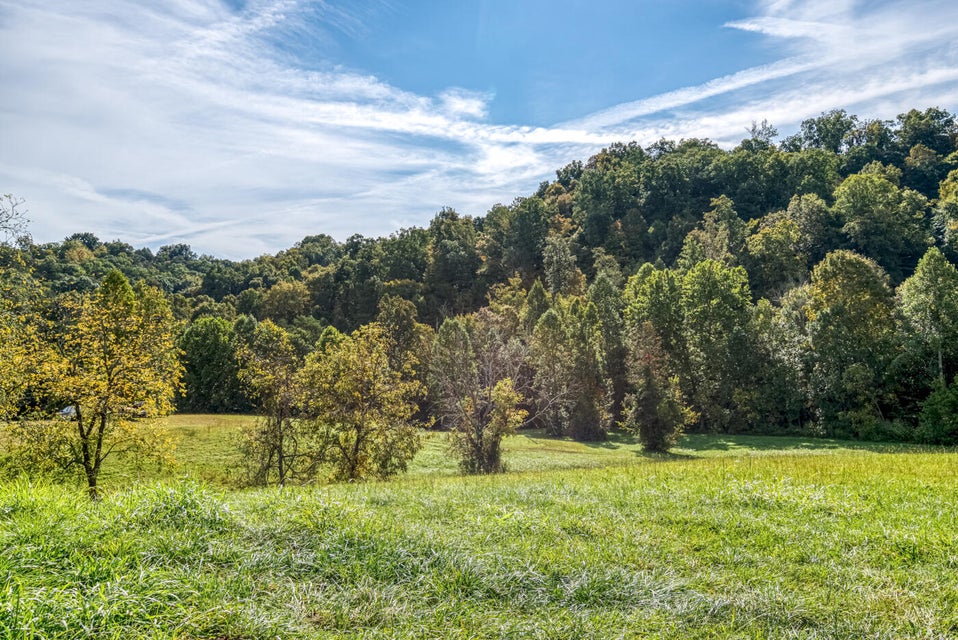 Photo #31: 456 Beech Grove Road
