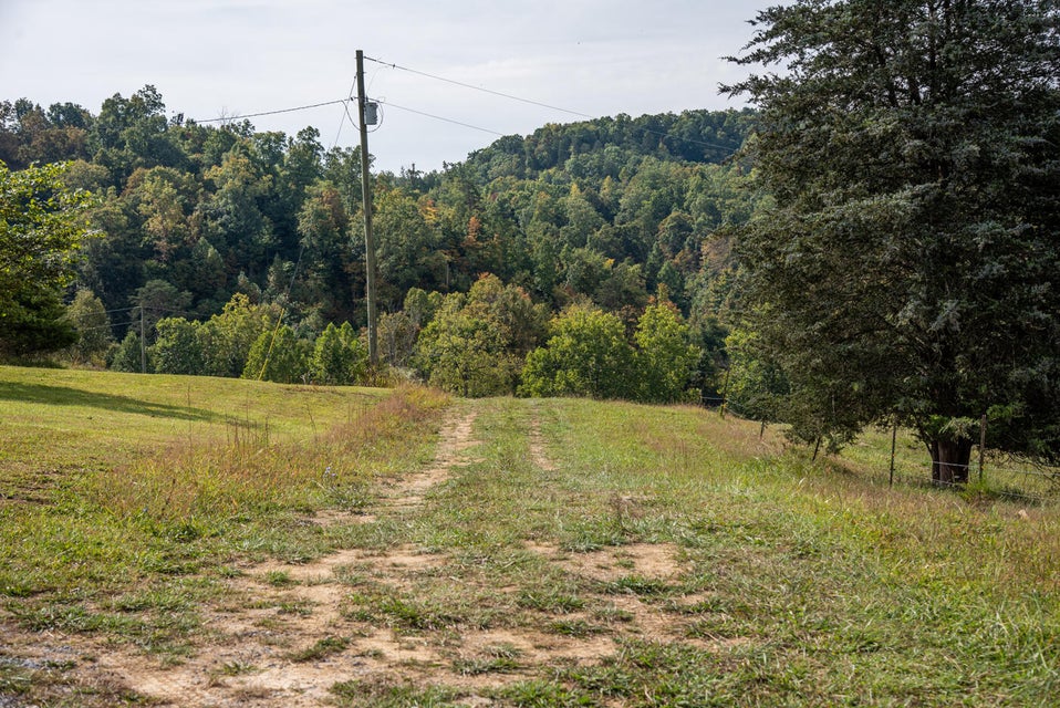 Photo #34: 456 Beech Grove Road