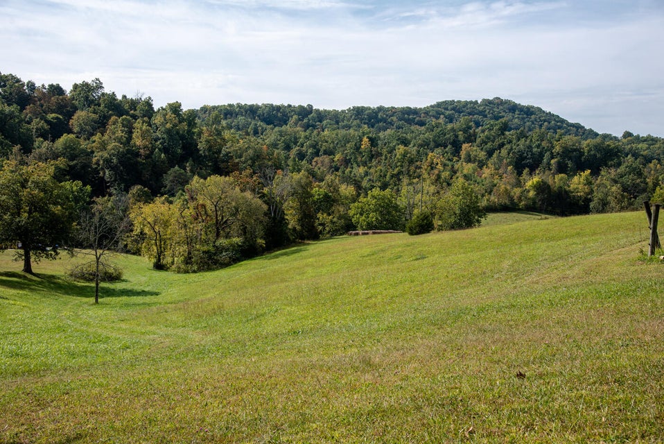 Photo #35: 456 Beech Grove Road