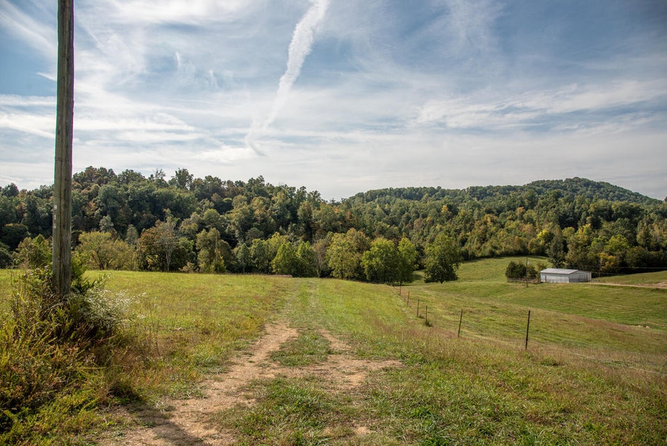 Photo #36: 456 Beech Grove Road
