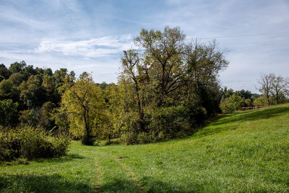 Photo #37: 456 Beech Grove Road
