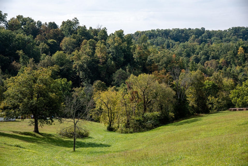 Photo #38: 456 Beech Grove Road