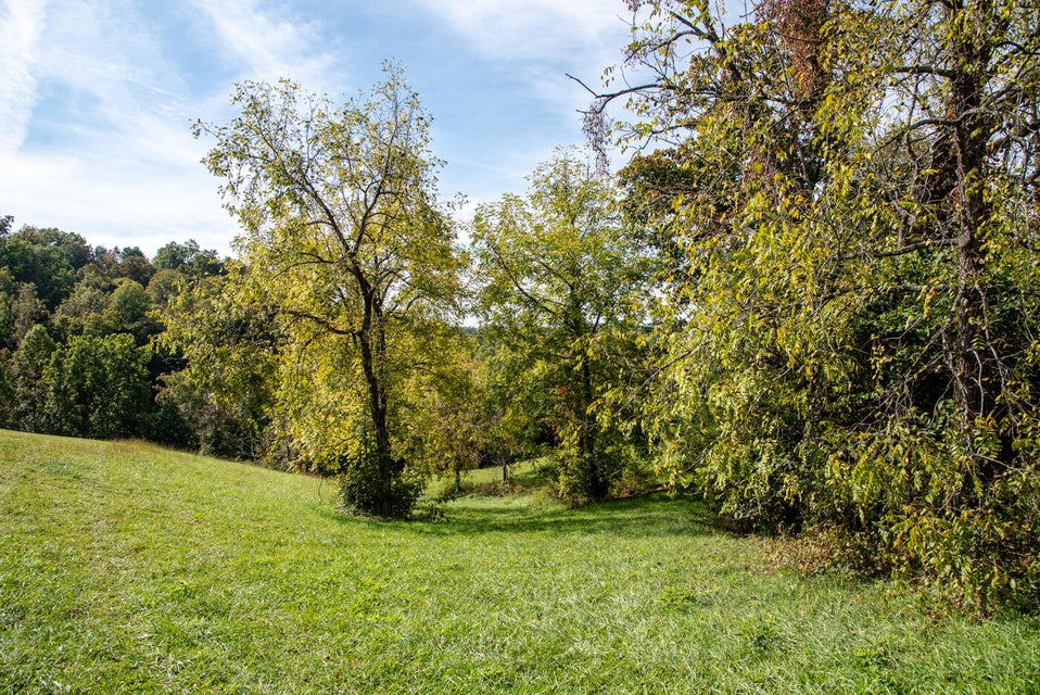 Photo #39: 456 Beech Grove Road