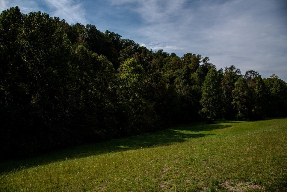 Photo #42: 456 Beech Grove Road
