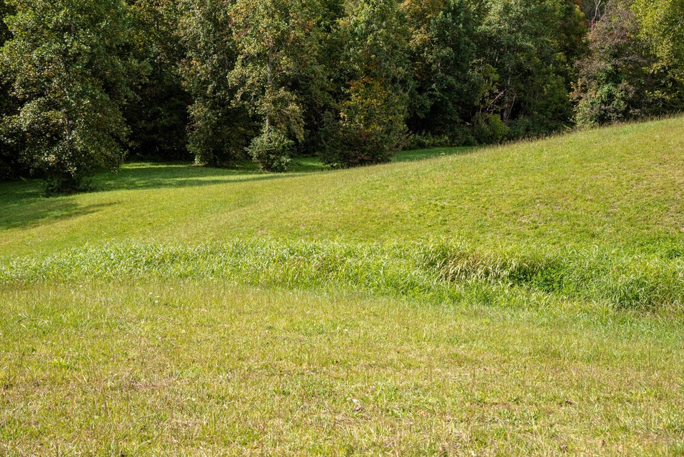 Photo #44: 456 Beech Grove Road