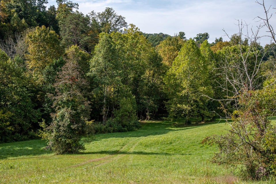 Photo #45: 456 Beech Grove Road