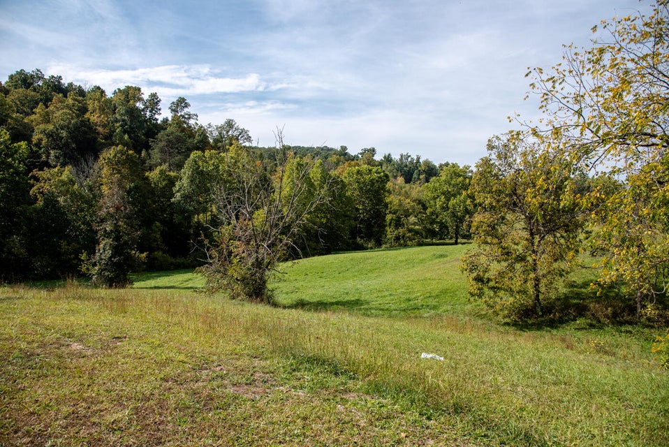 Photo #46: 456 Beech Grove Road