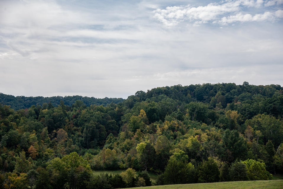 Photo #47: 456 Beech Grove Road