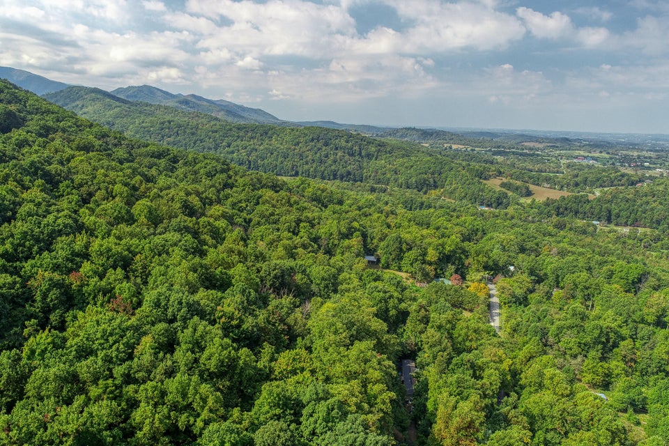Photo #29: 420 Bearfield Road