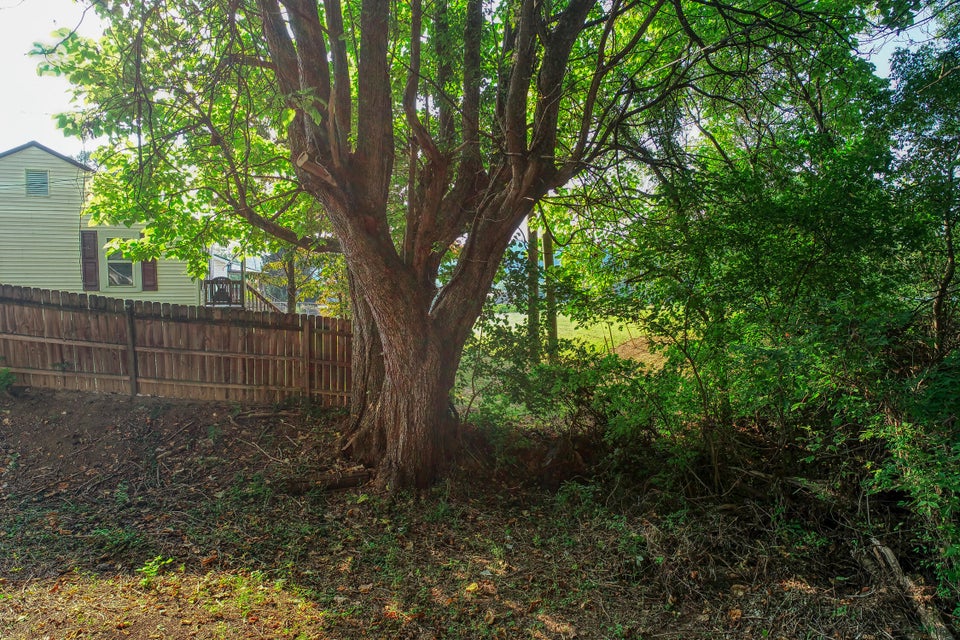 Photo #9: 115 Sneedville Pike