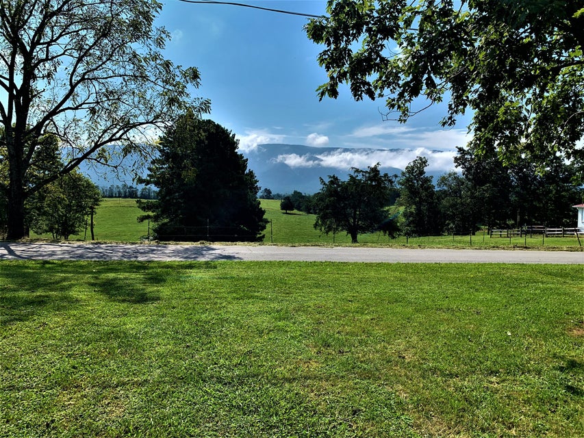 Photo #45: 550 Red Hill Road