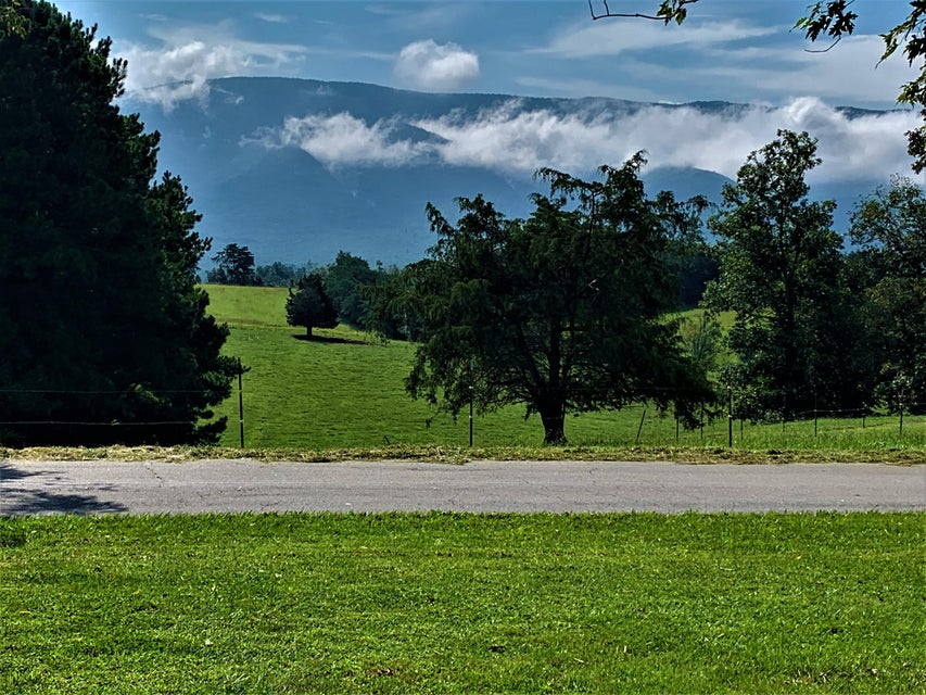 Photo #50: 550 Red Hill Road