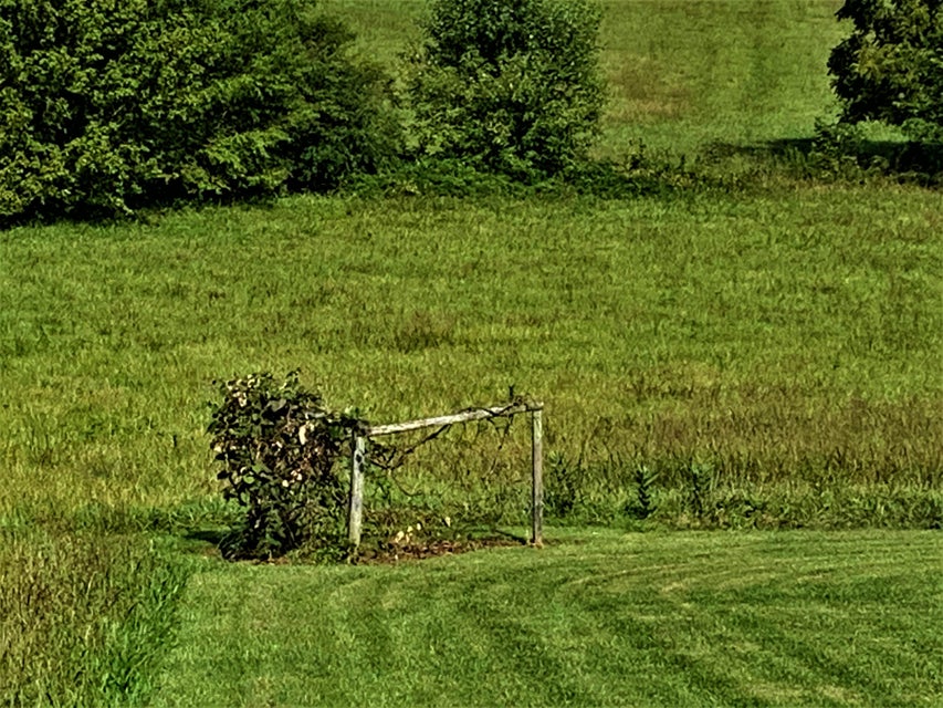 Photo #36: 550 Red Hill Road