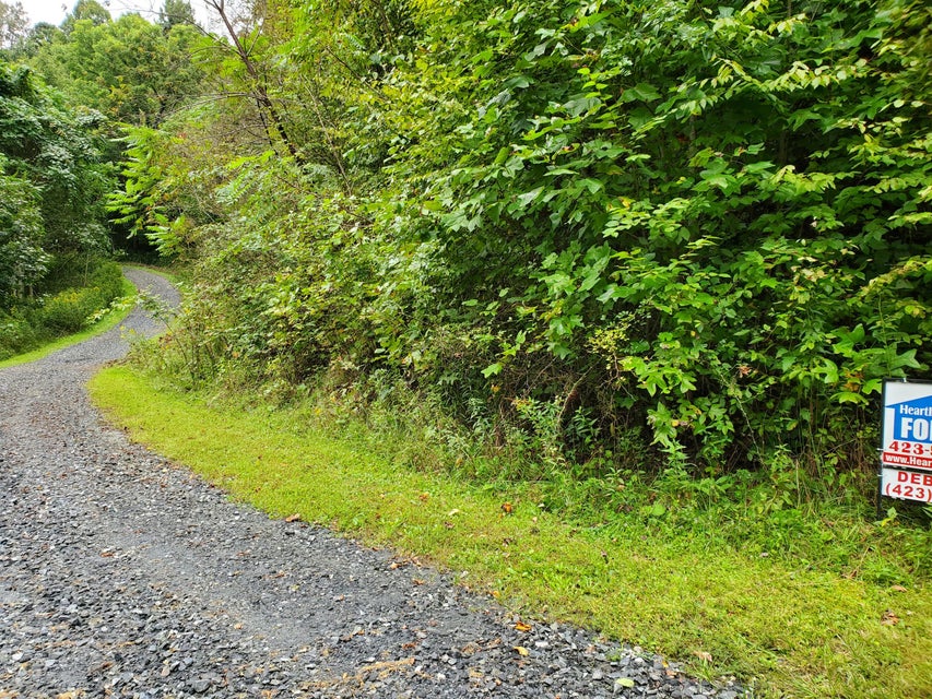 Photo #5: Tbd Eagle Ridge Rd
