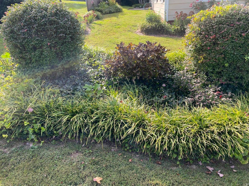 Photo #5: 191 Brandonwood Drive
