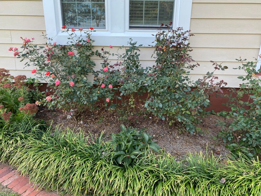 Photo #7: 191 Brandonwood Drive