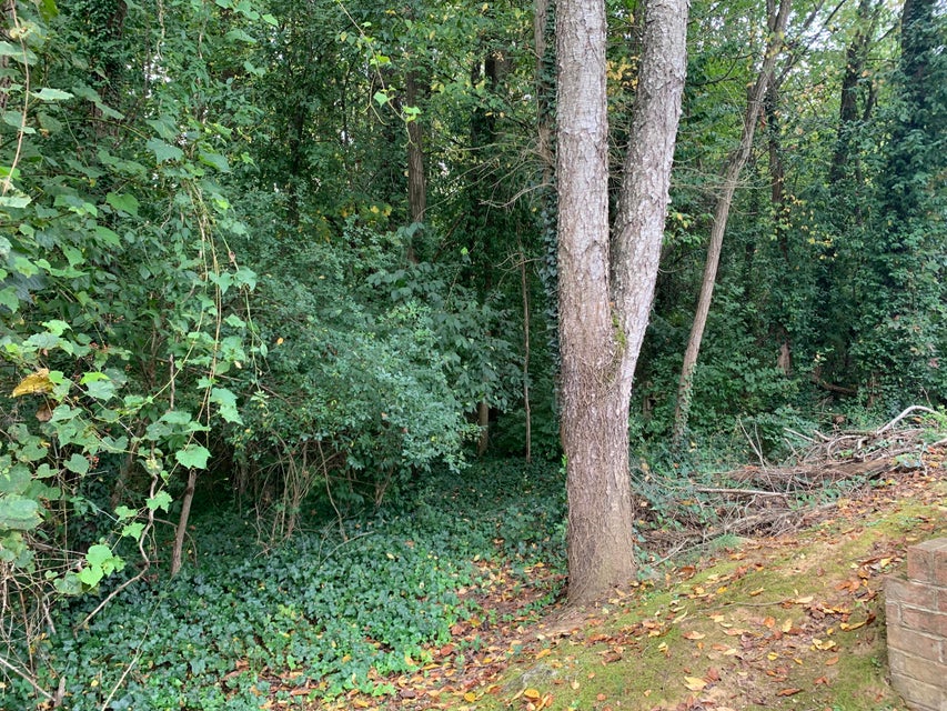 Photo #40: 9 Oak Leaf Court