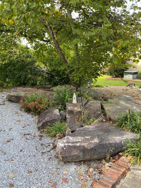 Photo #17: 191 Brandonwood Drive