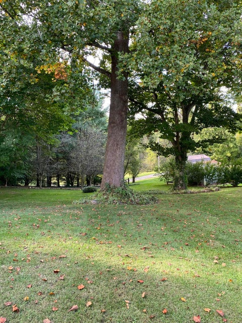 Photo #19: 191 Brandonwood Drive