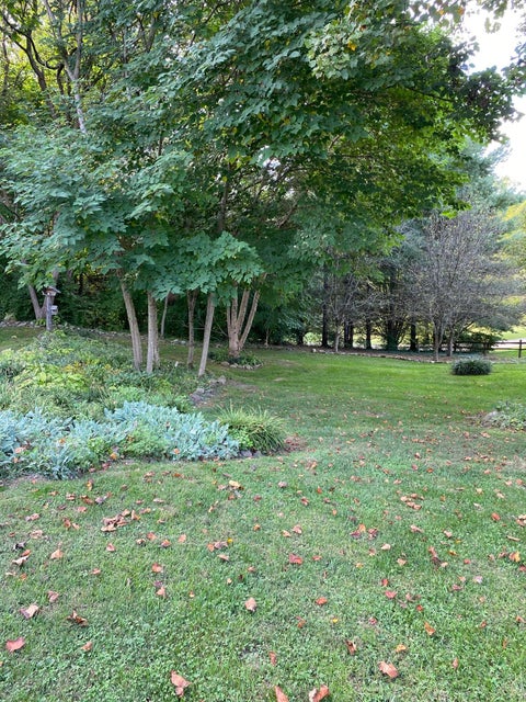 Photo #20: 191 Brandonwood Drive