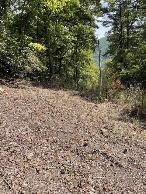 Photo #5: Tbd Mountain Wynd Drive
