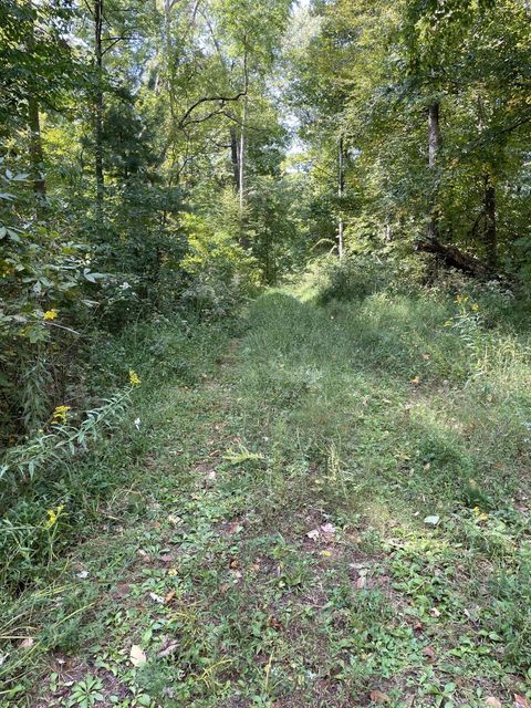 Photo #4: Tbd Mountain Wynd Drive