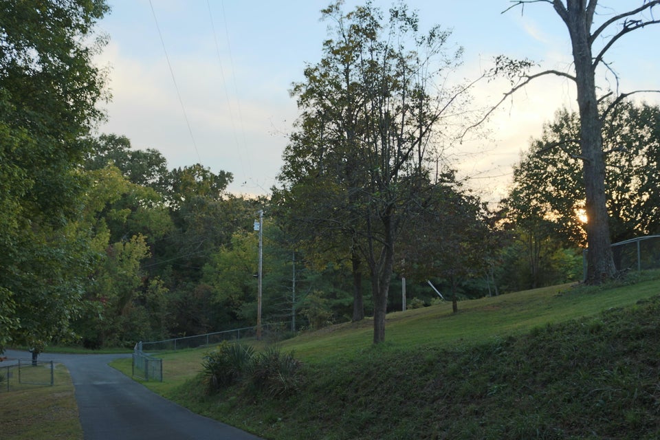 Photo #37: 134 Candle Knob Road
