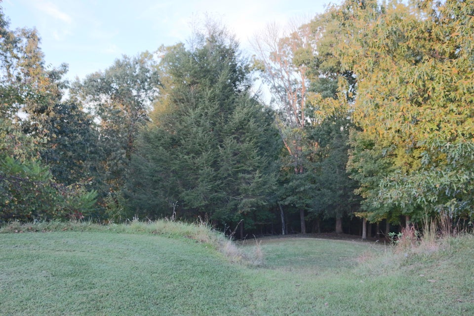 Photo #41: 134 Candle Knob Road