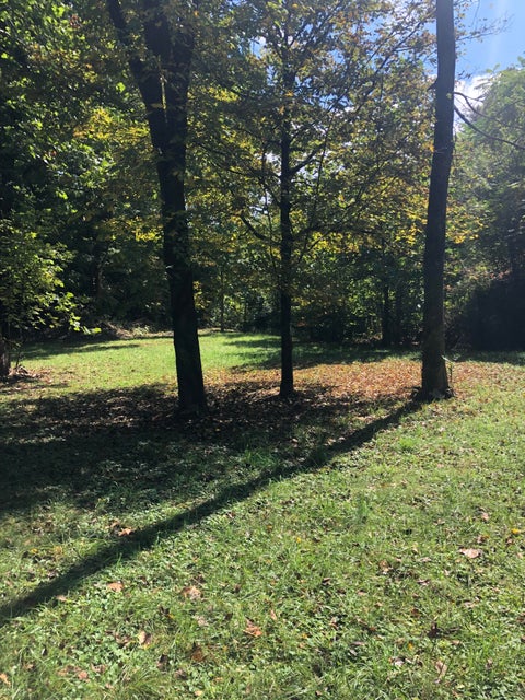 Photo #1: 104 Tamassee Drive