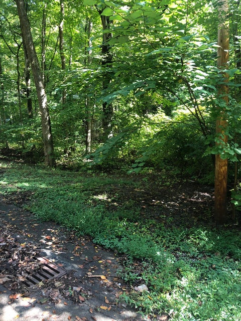 Photo #2: 104 Tamassee Drive