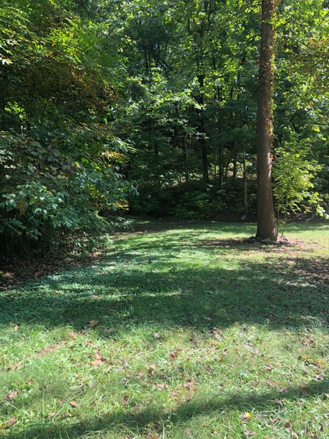 Photo #3: 104 Tamassee Drive