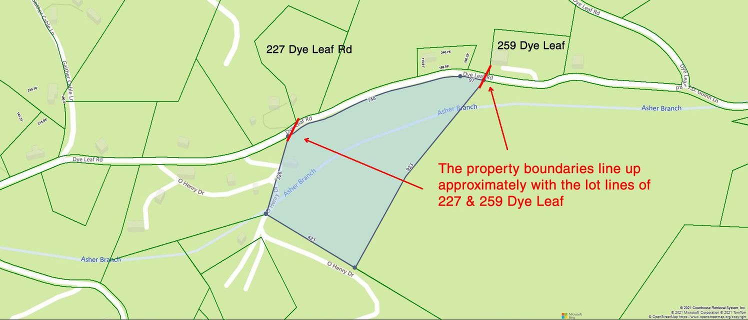 Photo #2: Tbd Dye Leaf Road