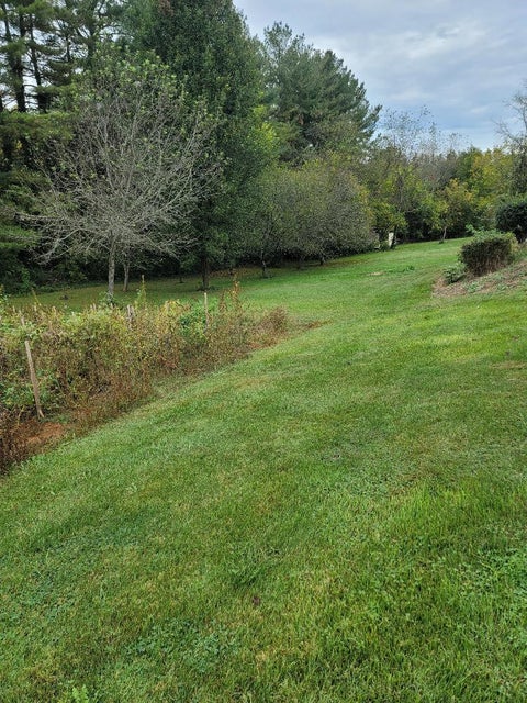 Photo #2: 2979 Highway 11e & 2981