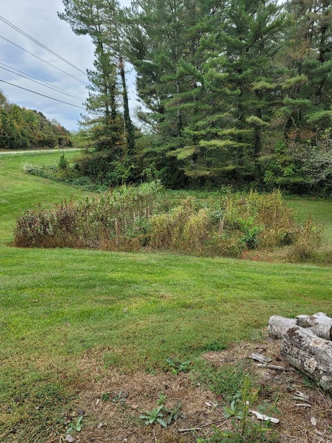 Photo #4: 2979 Highway 11e & 2981