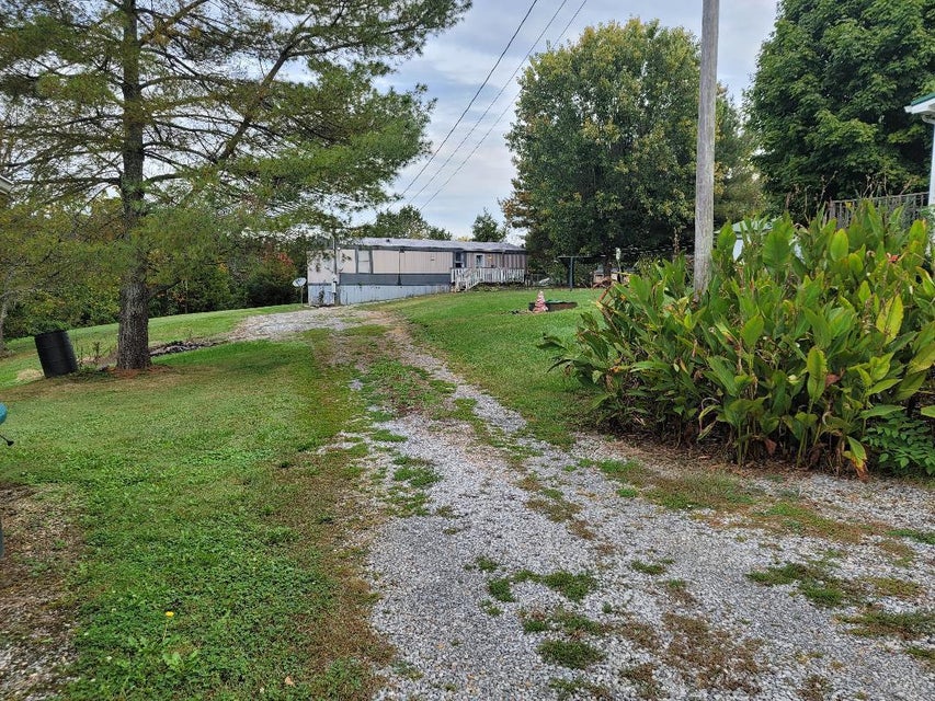 Photo #8: 2979 Highway 11e & 2981