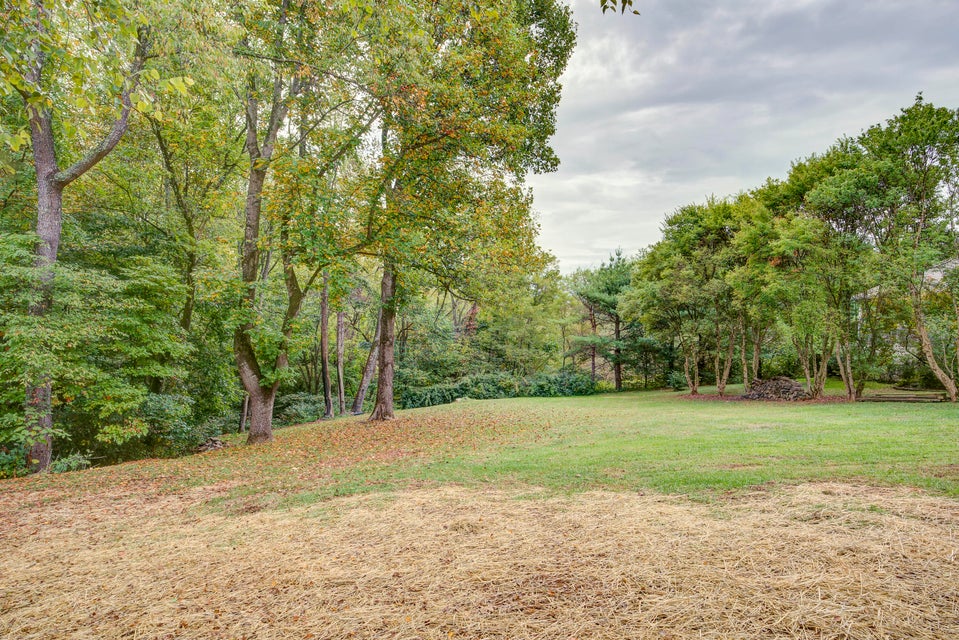 Photo #10: 388 Beulah Land Drive