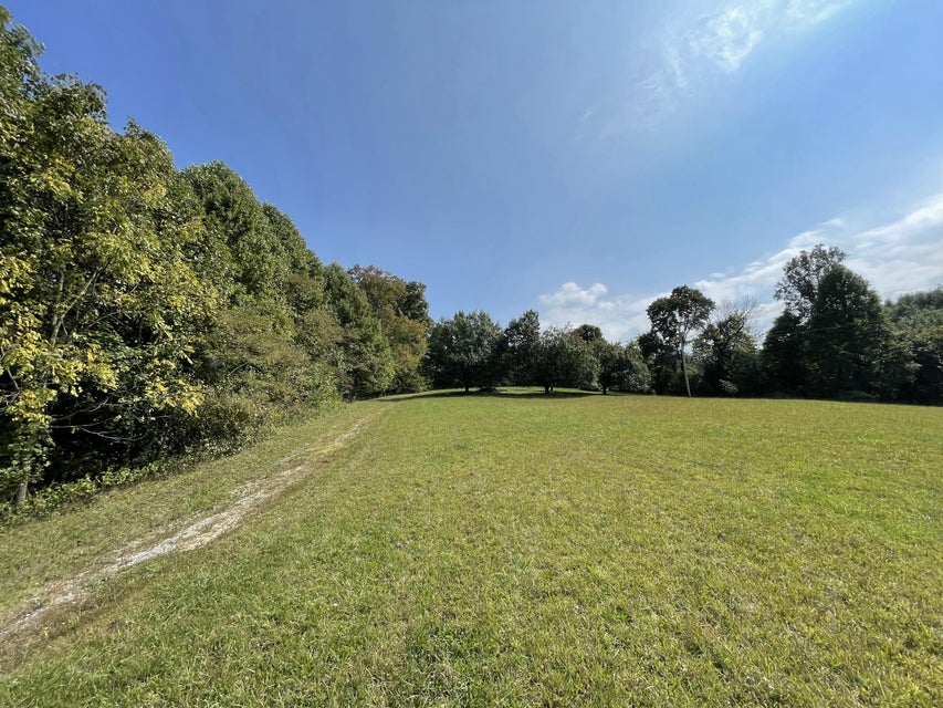 Photo #5: 161 Burton France Road