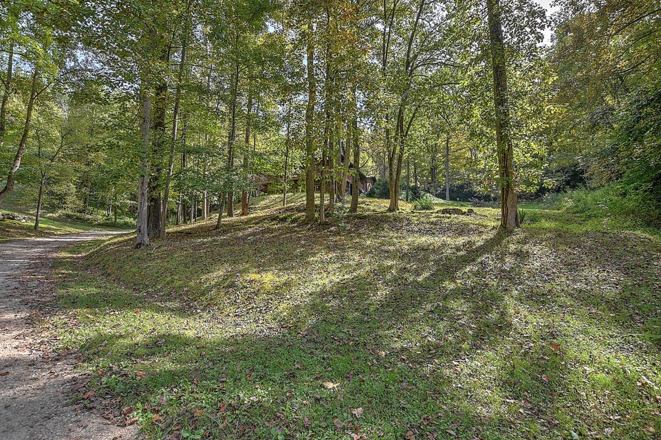 Photo #3: 202 Raccoon Circle