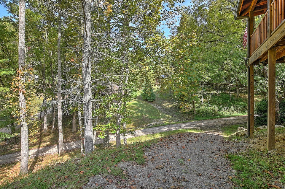 Photo #47: 202 Raccoon Circle