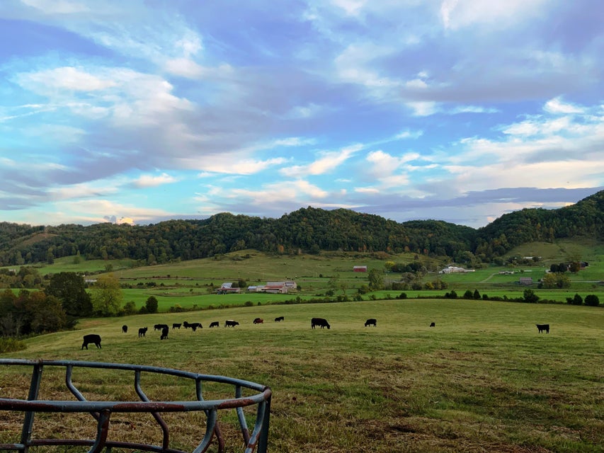 Photo #7: 0 Stanley Valley Road
